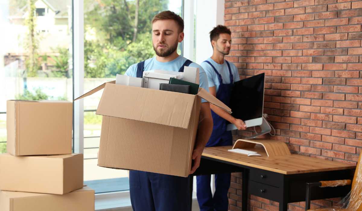 A Complete Guide to Declaring a Dormant Company in Hong Kong