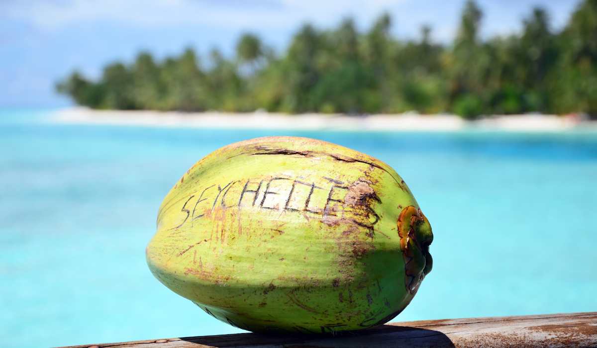 Advantages of Registering a Company in Seychelles